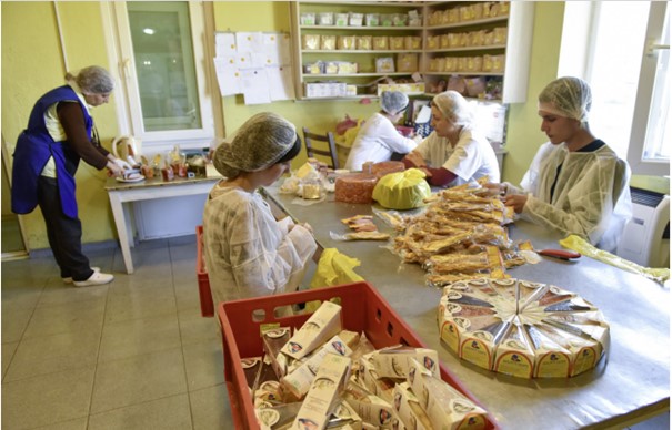 five people are packaging cheese in one of the cheese factories in the Kakheti region